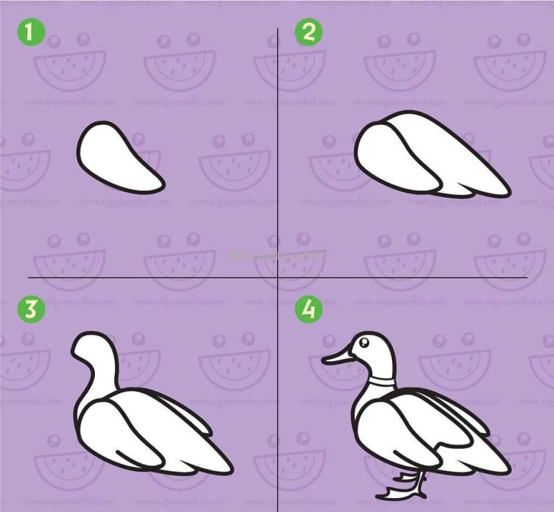 超详细！鸟类简笔画步骤图，你学会了吗？收藏了教孩子！
