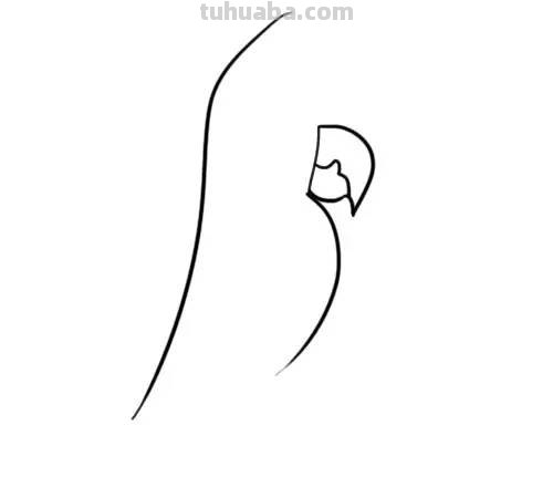 家长必备丨1分钟上手，简笔画鸟 so easy（收藏版）