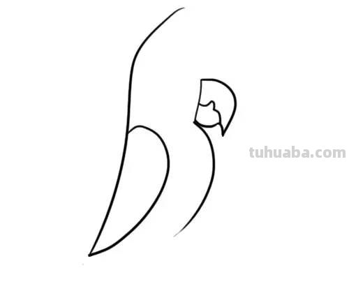 家长必备丨1分钟上手，简笔画鸟 so easy（收藏版）