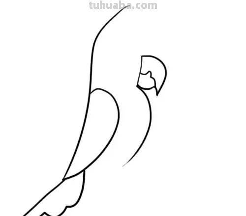 家长必备丨1分钟上手，简笔画鸟 so easy（收藏版）