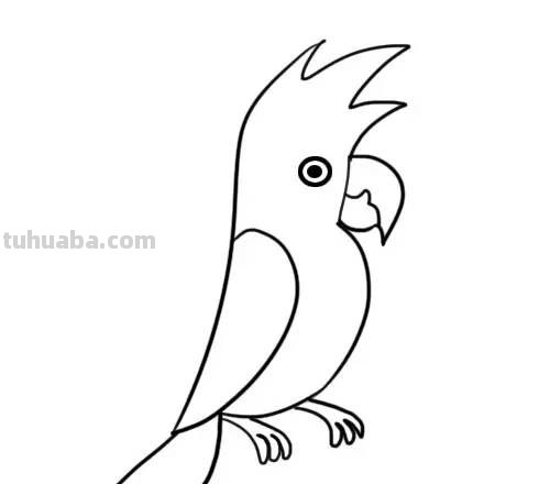 家长必备丨1分钟上手，简笔画鸟 so easy（收藏版）