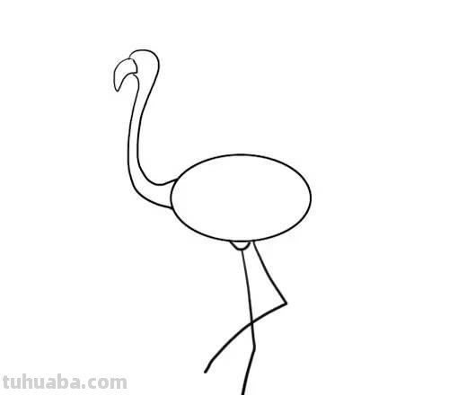 家长必备丨1分钟上手，简笔画鸟 so easy（收藏版）