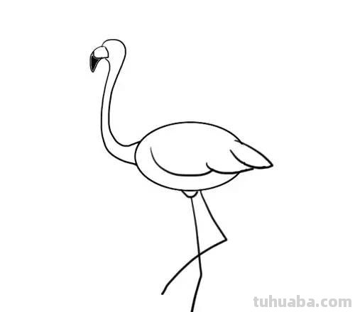 家长必备丨1分钟上手，简笔画鸟 so easy（收藏版）