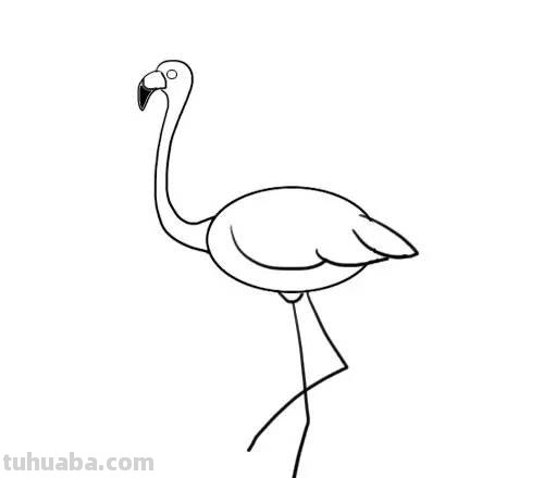 家长必备丨1分钟上手，简笔画鸟 so easy（收藏版）