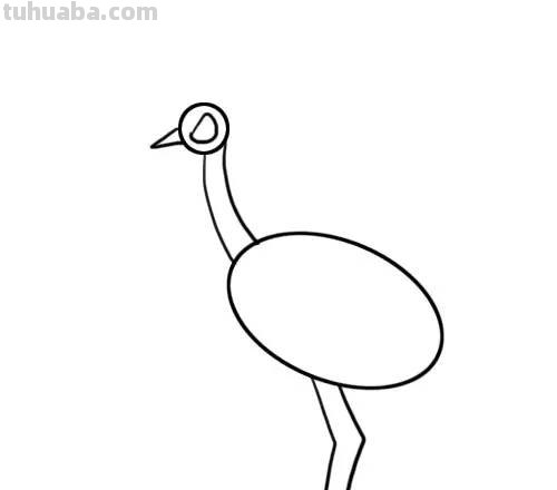 家长必备丨1分钟上手，简笔画鸟 so easy（收藏版）