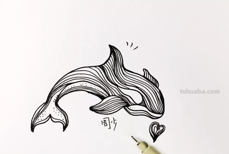 手把手教你画海豚简笔画,步骤详细,一学就会! 手把手教你画海豚简笔画,步骤详细,一学就会!