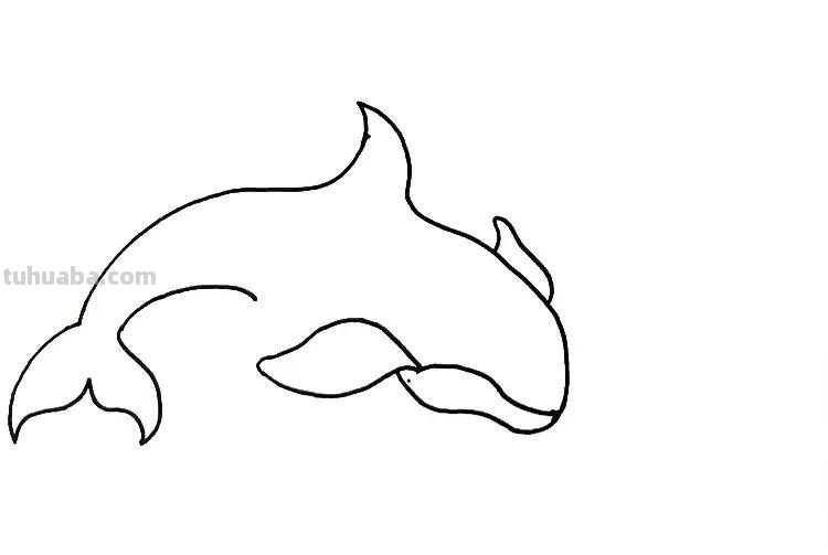 手把手教你画海豚简笔画,步骤详细,一学就会! 手把手教你画海豚简笔画,步骤详细,一学就会!