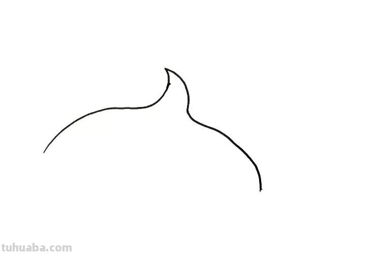 手把手教你画海豚简笔画,步骤详细,一学就会! 手把手教你画海豚简笔画,步骤详细,一学就会!