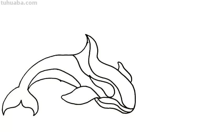 手把手教你画海豚简笔画,步骤详细,一学就会! 手把手教你画海豚简笔画,步骤详细,一学就会!