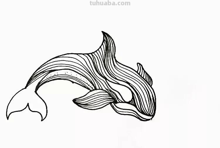 手把手教你画海豚简笔画,步骤详细,一学就会! 手把手教你画海豚简笔画,步骤详细,一学就会!