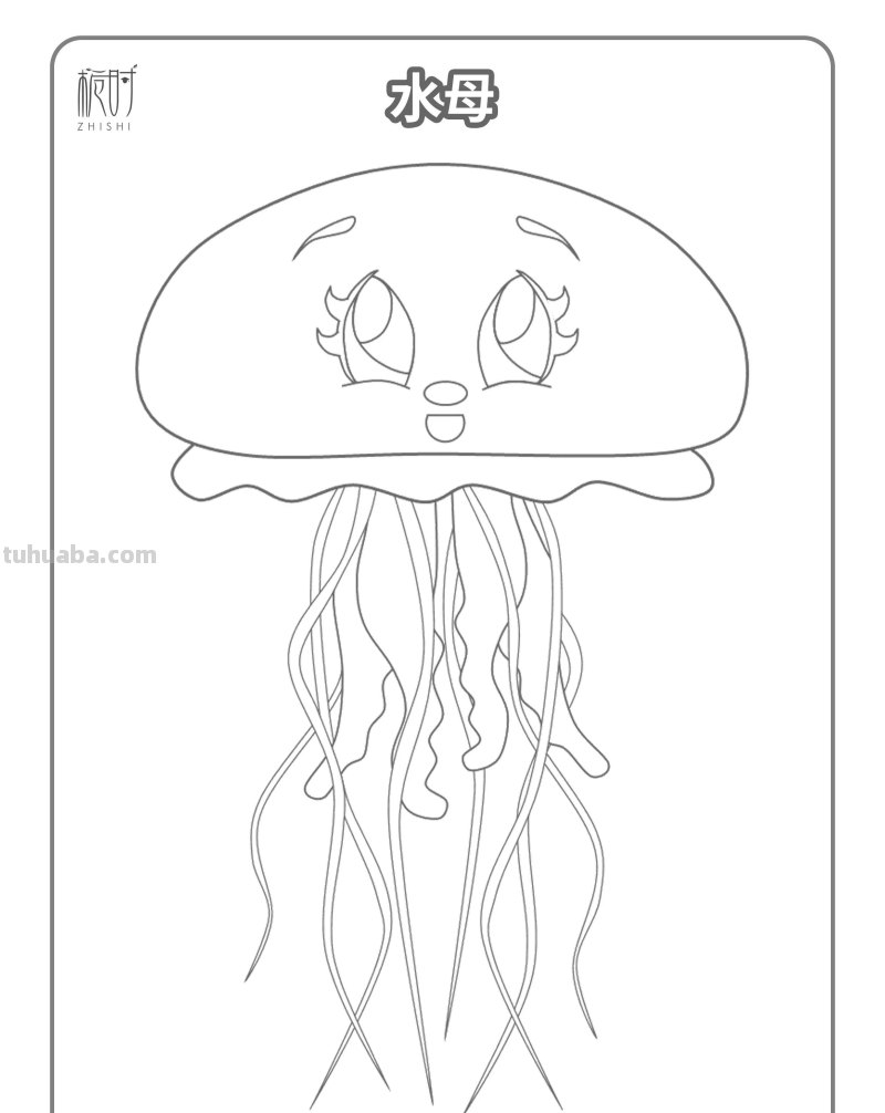 海洋动物涂色 - 超萌简笔画涂色素材