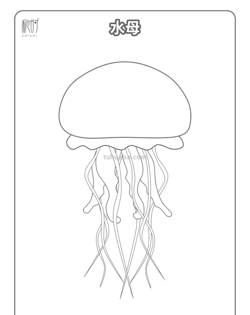 海洋动物涂色 - 超萌简笔画涂色素材