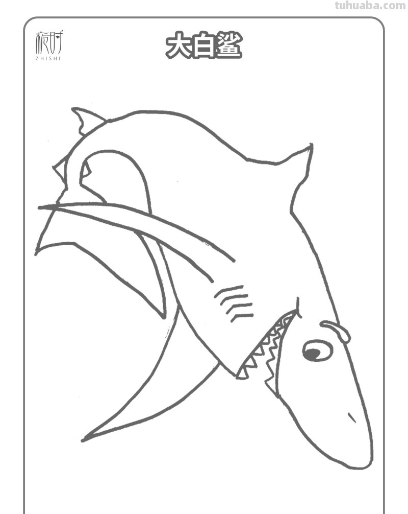 海洋动物涂色 - 超萌简笔画涂色素材