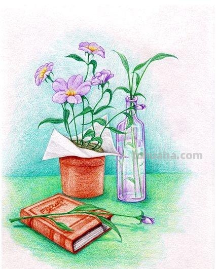 彩铅花瓣外翻怎么画（彩铅花瓣外翻怎么画好看）