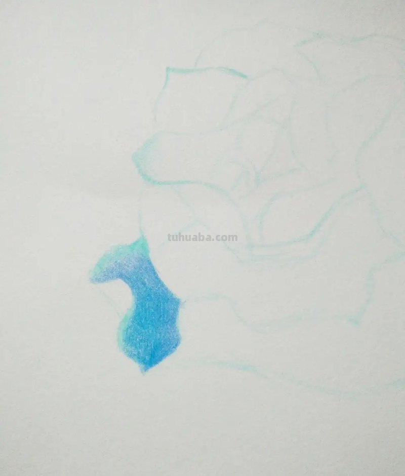 彩铅花瓣外翻怎么画(彩铅花瓣外翻怎么画好看) 彩铅花瓣外翻怎么画(彩铅花瓣外翻怎么画好看)