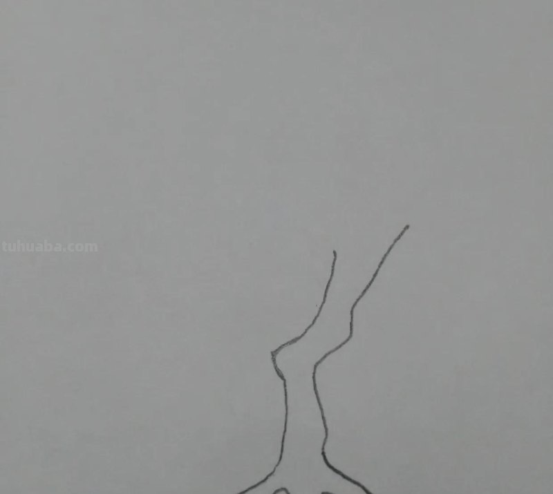 柠檬怎么画简笔画图片（柠檬怎么画简笔画图片大全）
