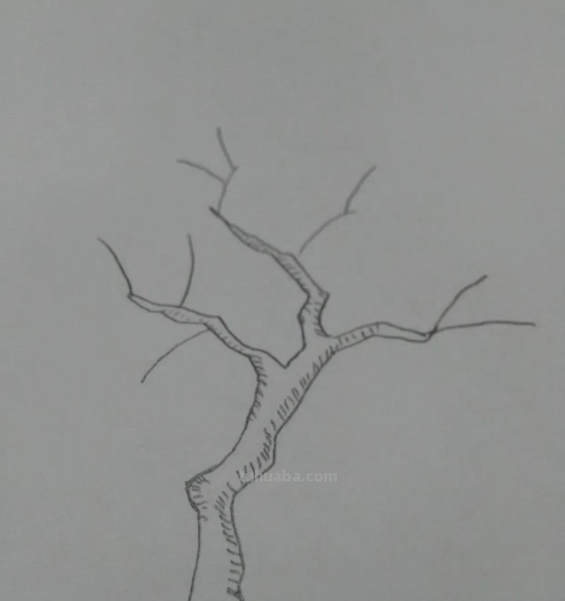柠檬怎么画简笔画图片（柠檬怎么画简笔画图片大全）
