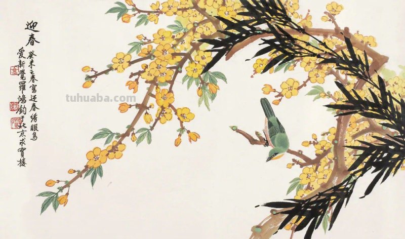 风信子怎么画简笔画（风信子怎么画简笔画图片）