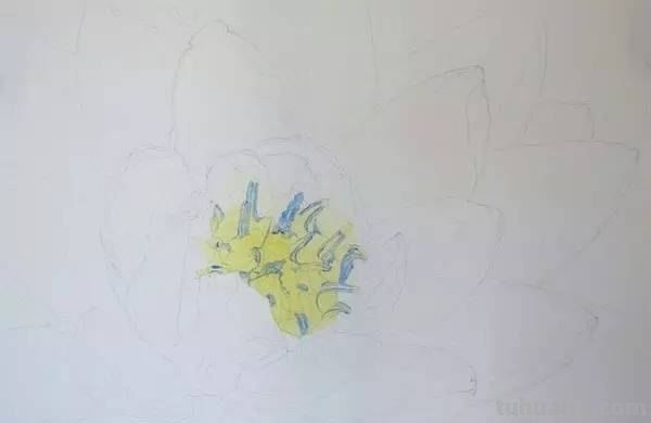 画不好水彩？那是你没看到好教程！