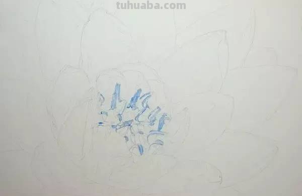 画不好水彩？那是你没看到好教程！