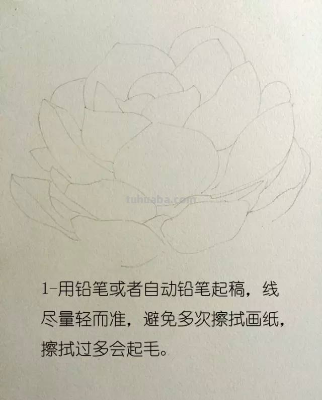 画不好水彩？那是你没看到好教程！