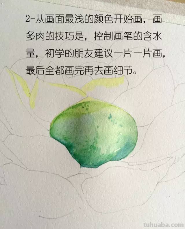画不好水彩？那是你没看到好教程！