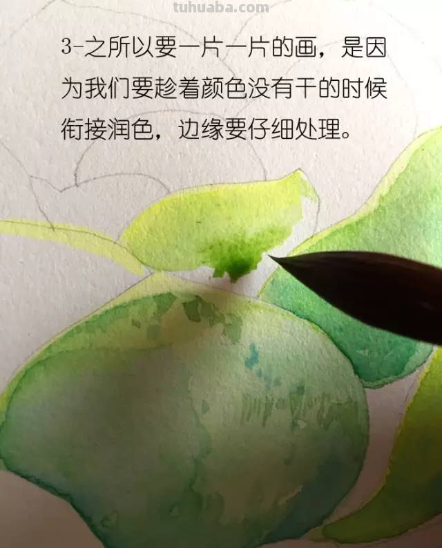 画不好水彩？那是你没看到好教程！