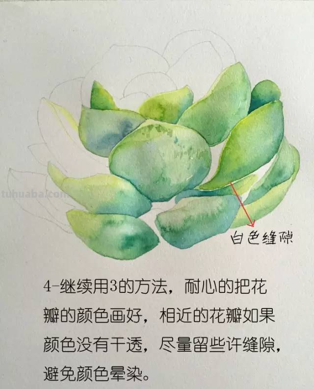 画不好水彩？那是你没看到好教程！