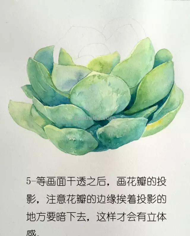 画不好水彩？那是你没看到好教程！