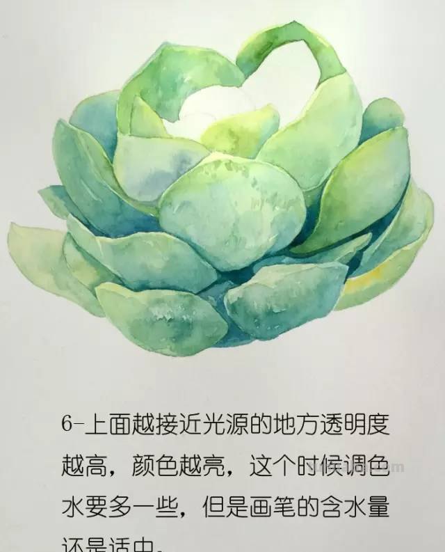 画不好水彩？那是你没看到好教程！