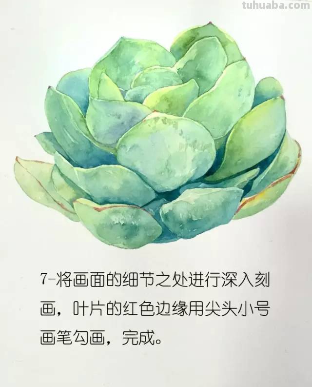 画不好水彩？那是你没看到好教程！