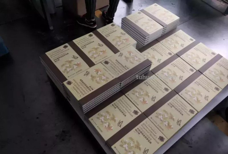 耗费巨资还原！​水彩大佬们奉为“圣经”的它到底有什么魅力