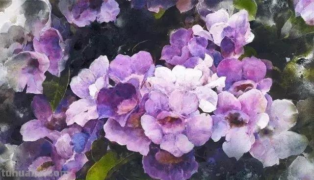 斑驳光影 - 台湾著名水彩画家谢明锠作品专辑