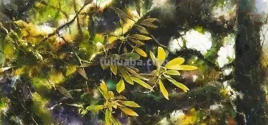 斑驳光影 - 台湾著名水彩画家谢明锠作品专辑