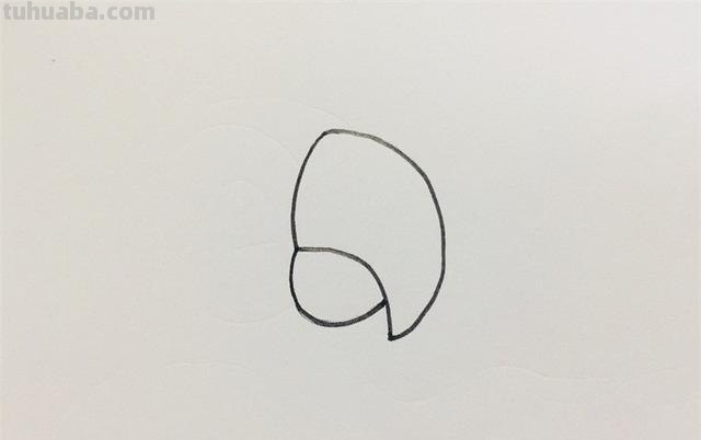 彩铅太阳鹦鹉怎么画（彩铅太阳鹦鹉怎么画好看）