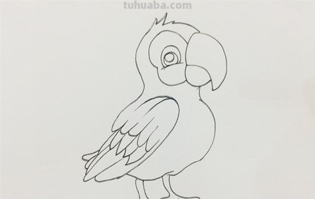 彩铅太阳鹦鹉怎么画(彩铅太阳鹦鹉怎么画好看) 彩铅太阳鹦鹉怎么画(彩铅太阳鹦鹉怎么画好看)