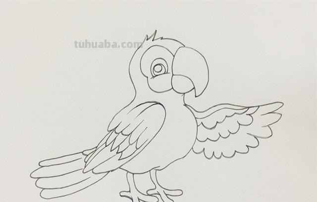 彩铅太阳鹦鹉怎么画(彩铅太阳鹦鹉怎么画好看) 彩铅太阳鹦鹉怎么画(彩铅太阳鹦鹉怎么画好看)