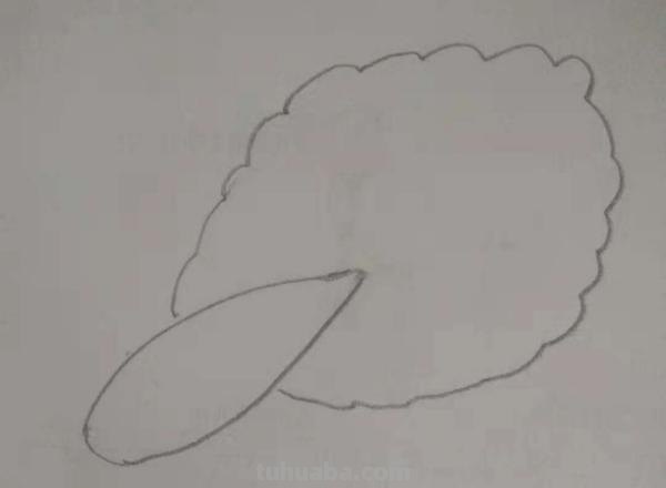 白菜怎么画 彩铅颜色(白菜怎么画 彩铅颜色好看) 白菜怎么画 彩铅颜色(白菜怎么画 彩铅颜色好看)