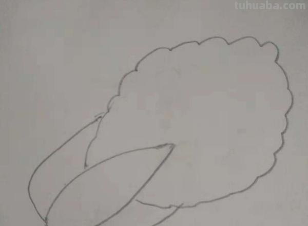 白菜怎么画 彩铅颜色(白菜怎么画 彩铅颜色好看) 白菜怎么画 彩铅颜色(白菜怎么画 彩铅颜色好看)