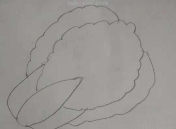 白菜怎么画 彩铅颜色(白菜怎么画 彩铅颜色好看) 白菜怎么画 彩铅颜色(白菜怎么画 彩铅颜色好看)