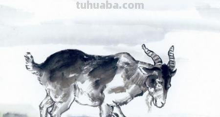 绵羊怎么画简笔画图片（绵羊怎么画简笔画图片大全）