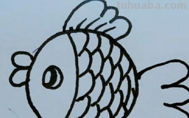 小鱼怎么画简笔画图片（小鱼怎么画简笔画图片大全）