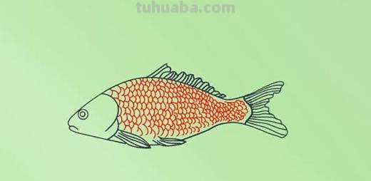 小鱼怎么画简笔画图片（小鱼怎么画简笔画图片大全）