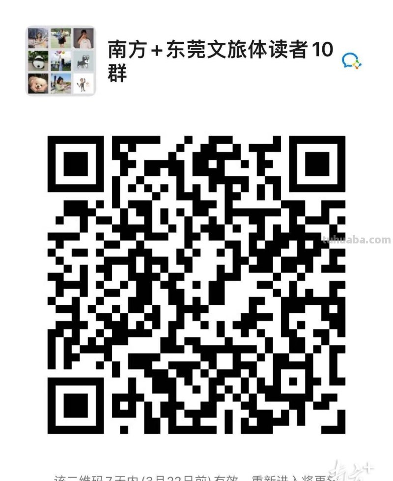 中国国际动漫博览会7月举办，“莞仔”成推荐官