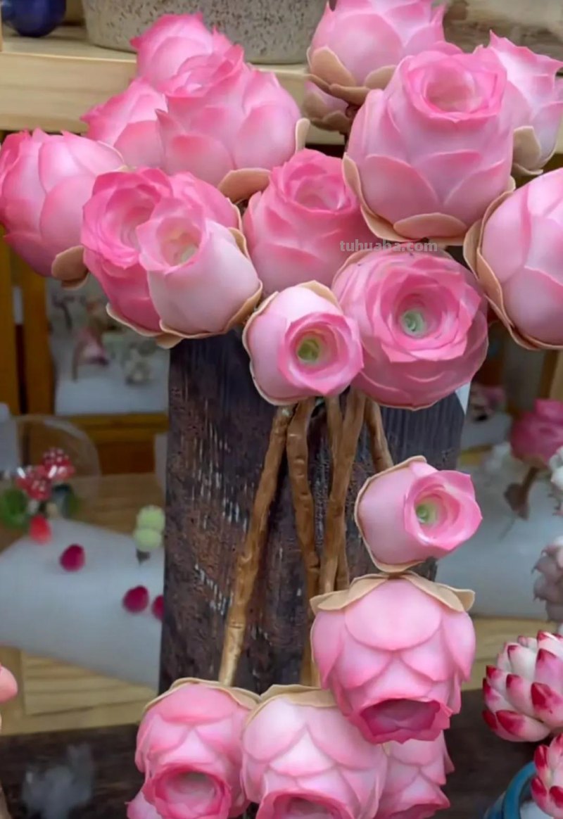 十种让人惊呆的高颜值多肉植物,第一种是多肉的颜值天花板 十种让人惊呆的高颜值多肉植物,第一种是多肉的颜值天花板