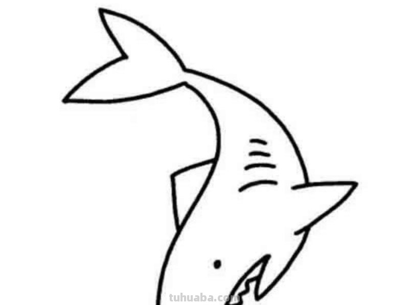 鲨鱼怎么画简笔画图片（鲨鱼怎么画简笔画图片 简单）