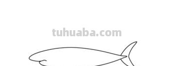 鲨鱼怎么画简笔画图片（鲨鱼怎么画简笔画图片 简单）