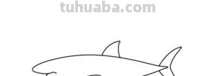 鲨鱼怎么画简笔画图片（鲨鱼怎么画简笔画图片 简单）