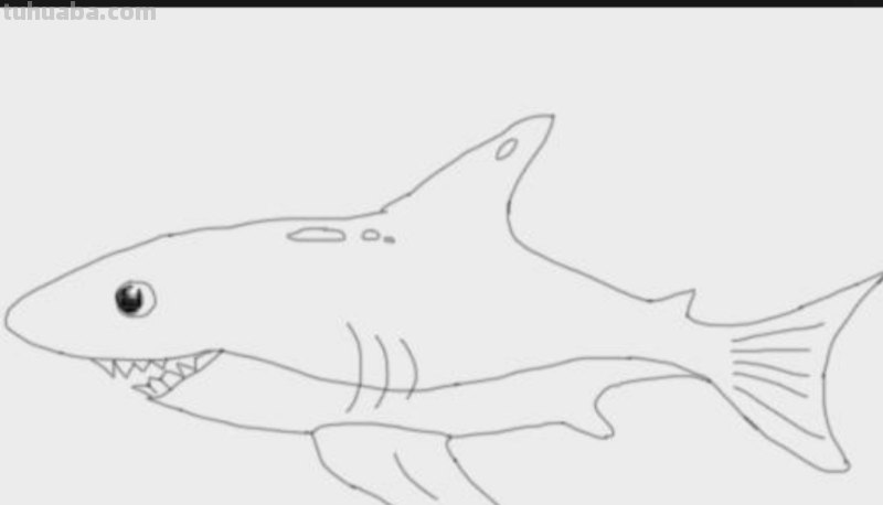 鲨鱼怎么画简笔画图片（鲨鱼怎么画简笔画图片 简单）