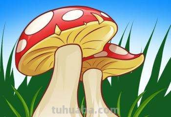 7种蔬菜育儿简笔画，亲子绘画素材，幼儿手抄报素材